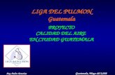 LIGA DEL PULMON Guatemala PROYECTO CALIDAD DEL AIRE EN CIUDAD GUATEMALA Guatemala, Mayo del 2,008 Arq. Pedro Asturias