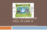 THE EUKARYOTIC CELL IS LIKE A _________________. THE EUKARYOTIC CELL IS LIKE A FACTORY
