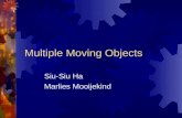 Multiple Moving Objects Siu-Siu Ha Marlies Mooijekind