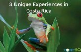 3 Unique Experiences in Costa Rica