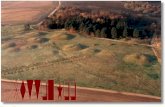 Background on Sutton Hoo Burial The Sutton Hoo burial consists of a wooden long boat covered by a large mound of soil. At the centre of the ship was a
