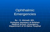 Ophthalmic Emergencies