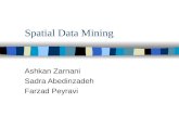 Spatial Data Mining Ashkan Zarnani Sadra Abedinzadeh Farzad Peyravi