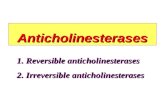 Anticholinesterases 1. Reversible anticholinesterases 2. Irreversible anticholinesterases
