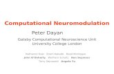 Computational Neuromodulation