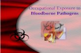 1 Occupational Exposure to Bloodborne Pathogens 20