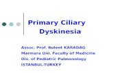Primary Ciliary           Dyskinesia