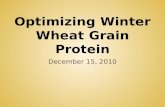 Optimizing Winter Wheat Grain Protein
