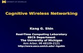 Cognitive Wireless Networking