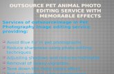 Outsource pet animal photo editing service with memorable effects