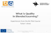 What is Quality in Blended Learning?
