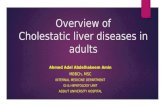 Cholestatic liver diseases in adults