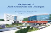 Management of Acute Cholecystitis and .Management of Acute Cholecystitis and Cholangitis ... Ultrasonographic Murphy's Sign ... Management of Acute Cholecystitis and Cholangitis
