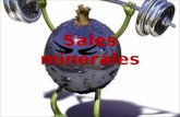 Sales minerales calcio