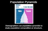Population Pyramids - Global Studies