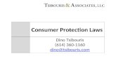 Consumer Protection Laws Dino Tsibouris (614) 360-1160 dino@