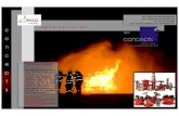 Fire Fighting   Ness Security   Catalogue (01.01.2011)