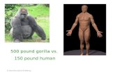© West Educational Publishing 500 pound gorilla vs. 150 pound human