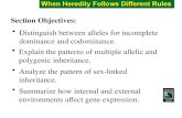 Distinguish between alleles for incomplete dominance and codominance. Section Objectives: Explain the patterns of multiple allelic and polygenic inheritance