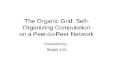 The Organic Grid: Self- Organizing Computation on a Peer-to-Peer Network Presented by : Xuan Lin