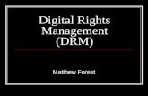 Digital Rights Management (DRM) Matthew Forest. Piracy