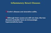Inflammatory Bowel Diseases &iuml;&plusmn; Crohn's disease and ulcerative colitis. &iuml;&plusmn; Although their causes are still not clear, the two diseases probably have an immunologic