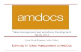 Talent Management and Workforce Development Spring 2014 Anca, Divya, Emerson, Neha, Robert Diversity in Talent Management at Amdocs