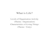What is Life? Levels of Organization Activity (Theme: Organization) Characteristics of Living Things (Theme: Unity)