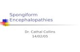 Spongiform Encephalopathies Dr. Cathal Collins 14/02/05