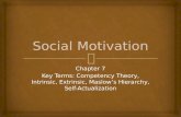 Chapter 7 Key Terms: Competency Theory, Intrinsic, Extrinsic, Maslowâ€™s Hierarchy, Self- Actualization