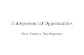 Entrepreneurial Opportunities New Venture Development