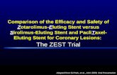 Comparison of the Efficacy and Safety of Zotarolimus-Eluting Stent versus Sirolimus-Eluting Stent and PacliTaxel- Eluting Stent for Coronary Lesions: The