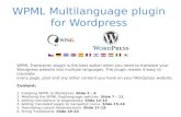 WPML Multilanguage  plugin  for  Wordpress