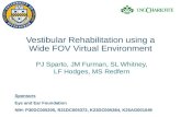 Vestibular Rehabilitation using a Wide FOV Virtual Environment