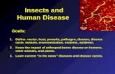 Insects and Human Disease Goals: 1.Define: vector, host, parasite, pathogen, disease, disease cycle, myiasis, envenomization, endemic, epidemic. 2.Know