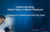 Understanding  Heart Rate & Blood Pressure