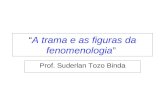â€œA trama e as figuras da fenomenologiaâ€‌ Prof. Suderlan Tozo Binda