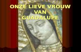 Onze Lieve Vrouw van Guadalupe