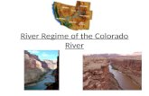 River regime of the colorado river