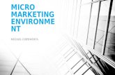 Micro marketing environment