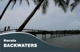 Kerala Backwaters-Backwaters-Alleppey Backwater-Backwaters in Kerala-Kerala Backwater-Backwater-Backwater in Kerala-Alappuzha Backwater-Alappuzha-Backwater in Alappuzha-Kumarakom Backwater-Backwater