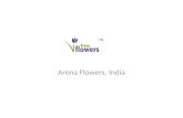 Arena Flowers, Guide To Book Flowers in India