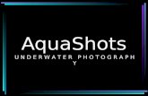 AquaShots Underwater Photography