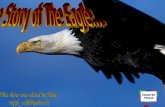 Rebirth of Eagle