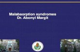 Malabsorption syndromes Dr. Abonyi .Malabsorption syndromes Dr. Abonyi Margit. ... Malabsorption