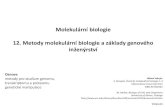 Molekul£Œrn£­ biologie 12. Metody molekul£Œrn£­ biologie a ... Molekul£Œrn£­ biologie 12. Metody molekul£Œrn£­
