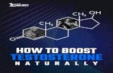 How To Boost Your Testosterone Naturally Booster+RX/Boost  · PDF file diets, & lack of exercise - which as you’ll see throughout this guide are massive factors. And as testosterone