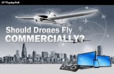 Should Drones Fly Commercially? - Facts & Infographic