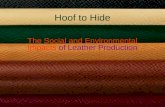 Leather and Tanning-Origin and Impact on Environment
