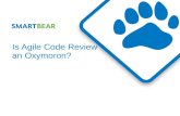 SmartBear Software Webinar:  Is Agile Code Review an Oxymoron?  An Expert Roundtable